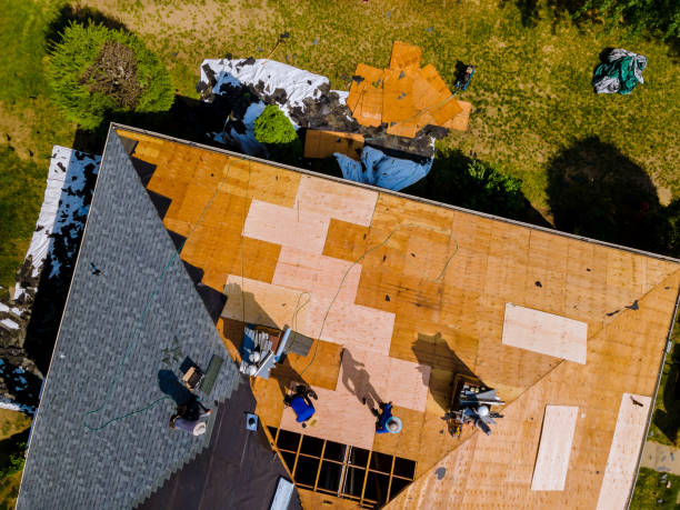 Best Roof Maintenance Services  in Claypool Hill, VA