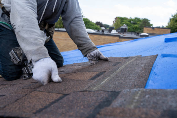 Best Shingle Roofing Installation  in Claypool Hill, VA