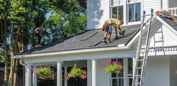 Best Roof Gutter Cleaning  in Claypool Hill, VA