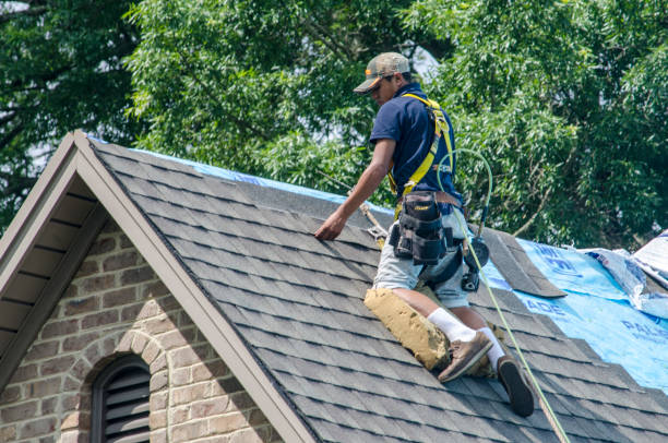 Best Roof Leak Repair  in Claypool Hill, VA